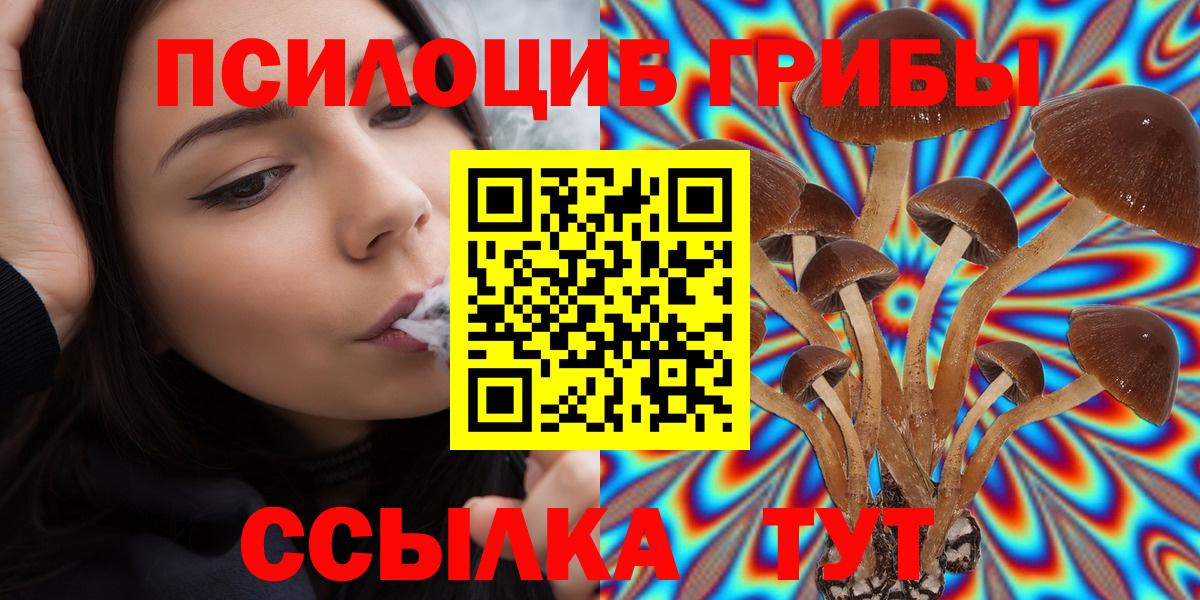 Псилоцибиновые грибы Cubensis Кингисепп